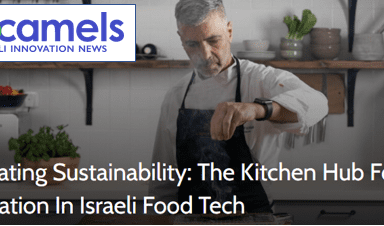 An article about The Kitchen’s activity on No Camels magazine