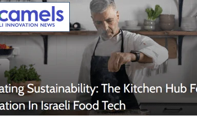 An article about The Kitchen’s activity on No Camels magazine