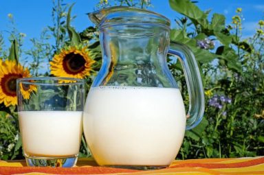 The buzzing cultivated milk sector, featuring BioMilk, Remilk, Fantastic Farms and our portfolio company- Imagindairy Ltd.