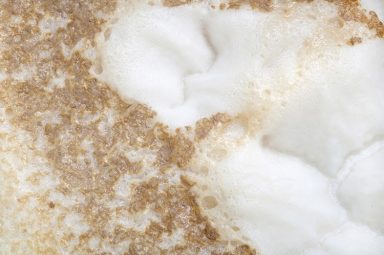 An interview with the CEO of YEAP, recycled yeast startup
