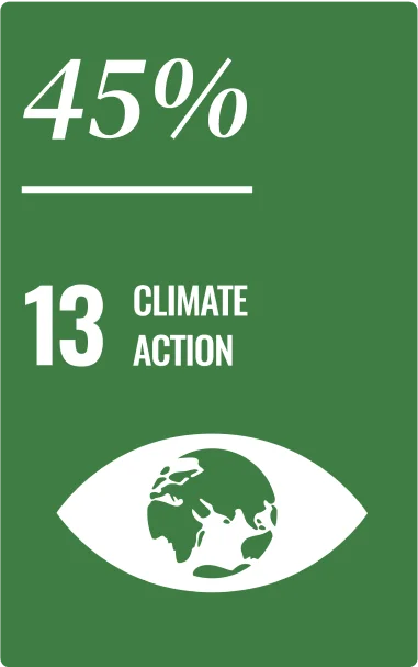 Top SDG’s among The Kitchen Hub Portfolio