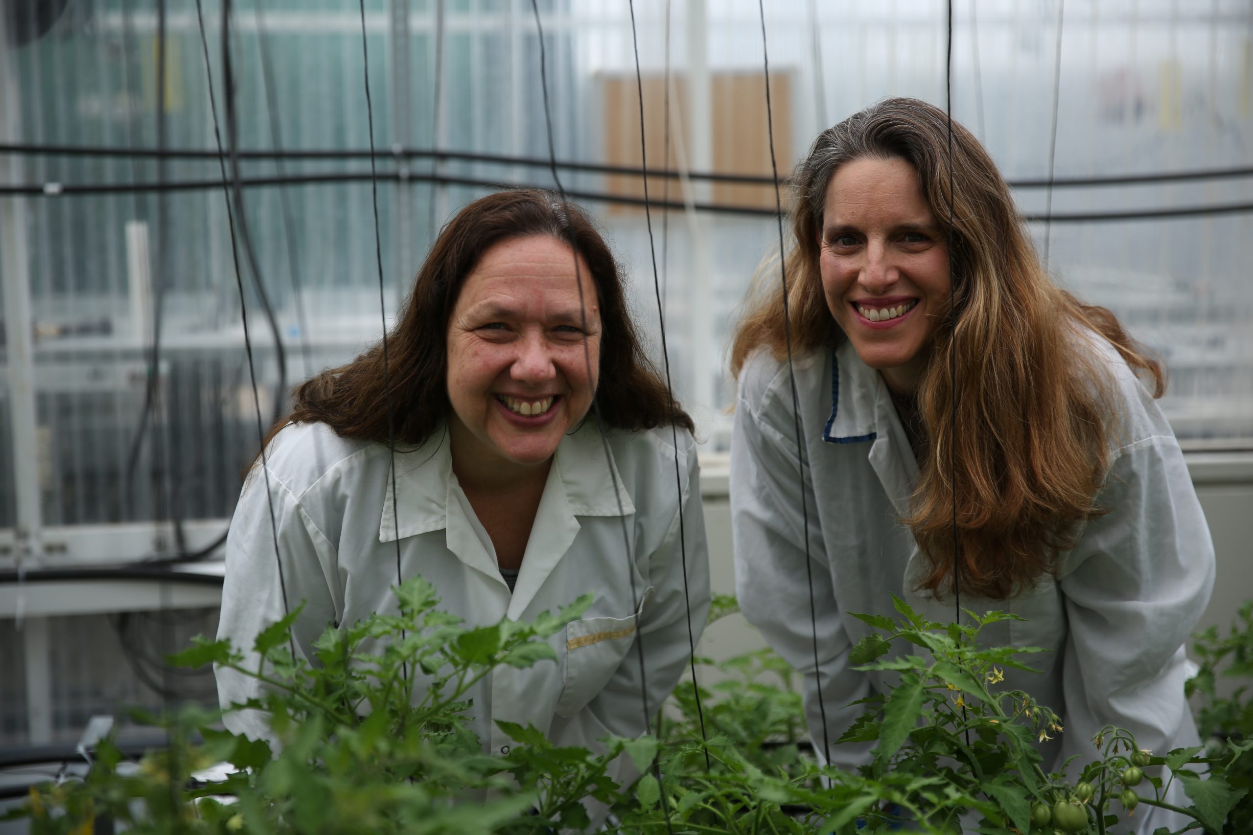 New startup from The Kitchen: Molecular farming startup Finally Foods emerges from stealth